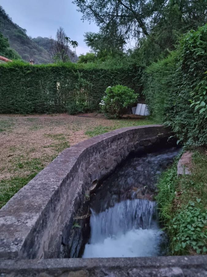 El Mirador Nogales *